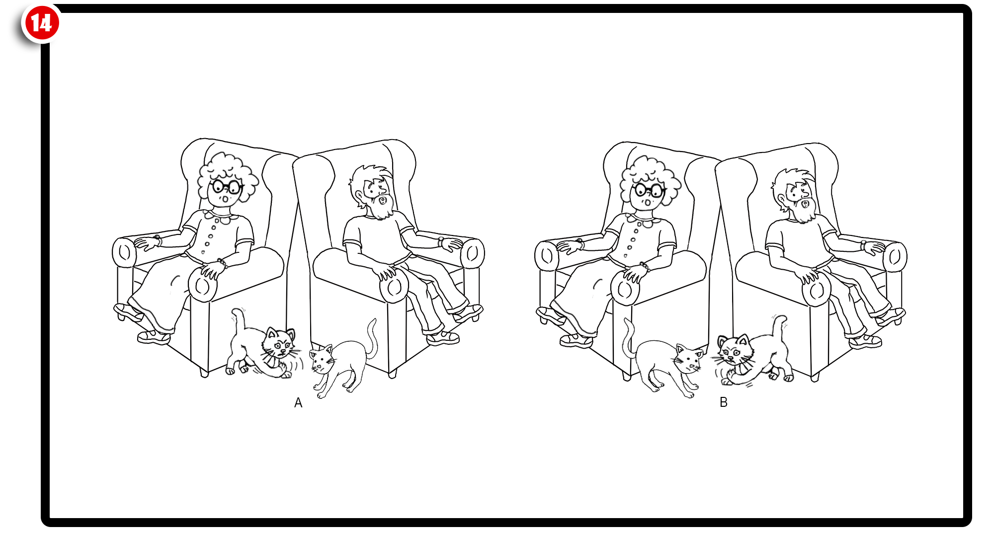 Imágen de la Actividad