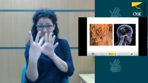 Webinar 'Introducción a la perspectiva sociolingüística de las lenguas de signos'